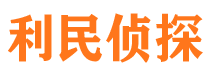 龙文市调查公司